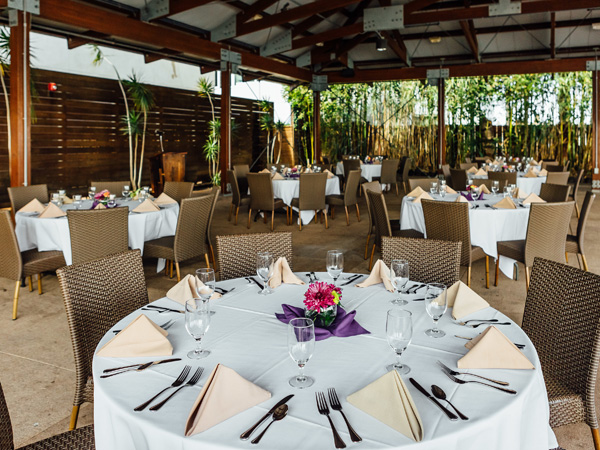 Dining room with a view