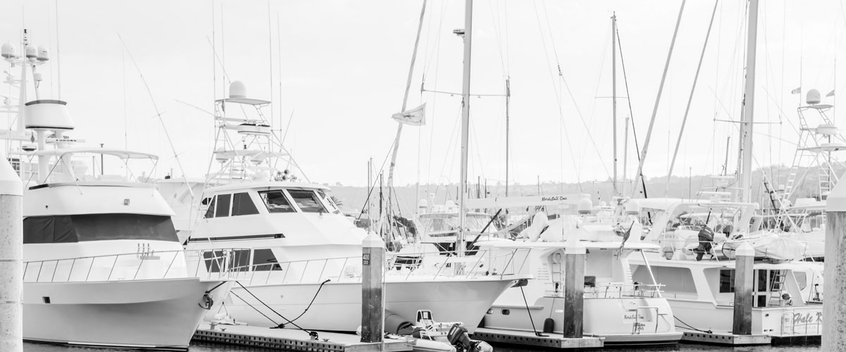 boats on the harbor